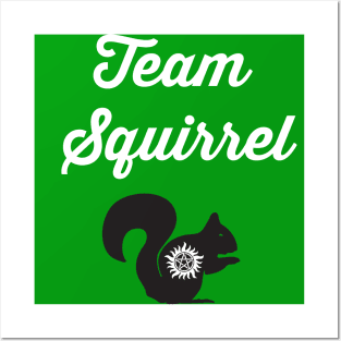 Team Squirrel! Posters and Art